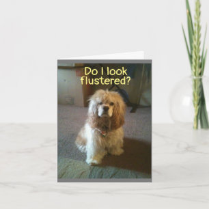 *EVERY DAY* WE'RE APART I "MISS YOU" MORE! CARD