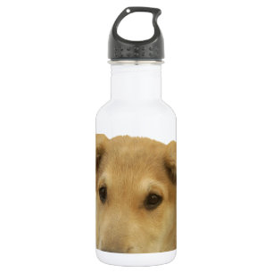 Every Dog Has iTS DAY Hakuna Matata Happy days a 532 Ml Water Bottle