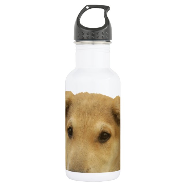 Every Dog Has iTS  DAY  Hakuna Matata Happy days a 532 Ml Water Bottle (Front)