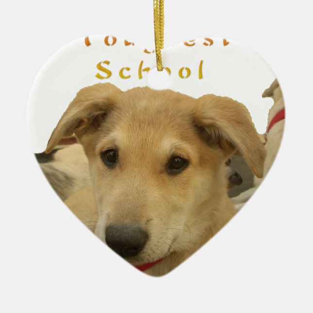 Every Dog Has iTS  DAY  Hakuna Matata Happy days a Ceramic Ornament (Front)