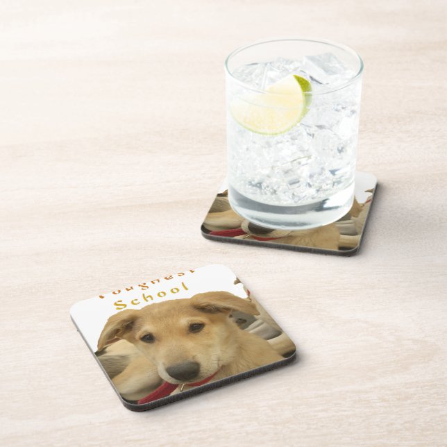 Every Dog Has iTS  DAY  Hakuna Matata Happy days a Coaster (Right Side)