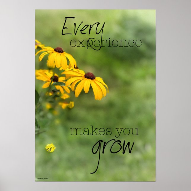 Every Experience Makes You Grow Poster (Front)