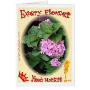 Every Flower Needs Moisture!