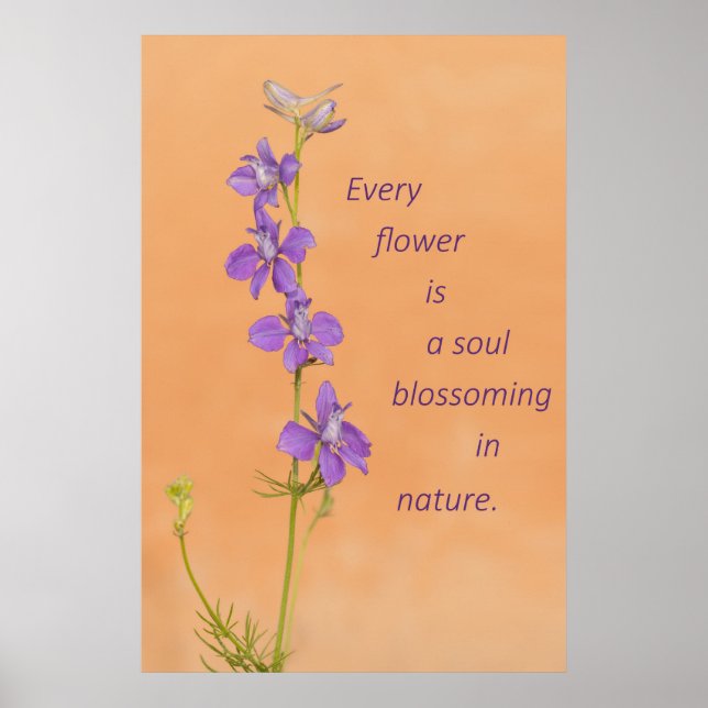Every Flower Poster (Front)