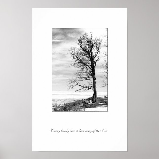 Every lonely tree is dreaming of the Sea Poster (Front)