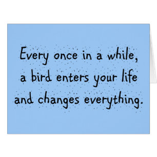 Every Once In A While, A Bird Enters Your Life …