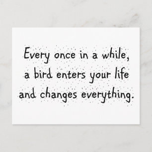 Every Once In A While, A Bird Enters Your Life … Postcard