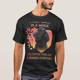 Every Once In A While A Labradoodle Enters You Lif T-Shirt