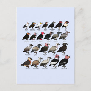 Every Vulture Postcard