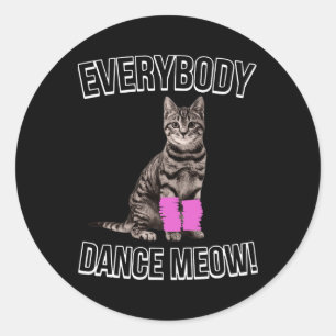 Everybody Dance Meow Kitten Cat Funny Dancing Cat Classic Round Sticker