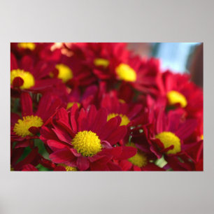 Everybody Has a Mum Poster