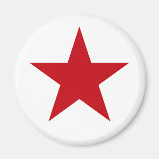 Everybody loves Stars Magnet