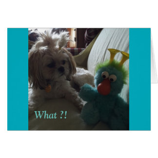 Everyday Cards/ Grace & Glory