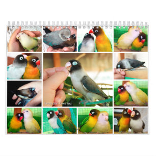 Everyday I love you Calendar