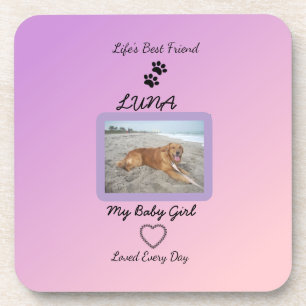 Everyday Love Pawprint Pet Coaster