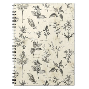 Everyday Writer’s Journal