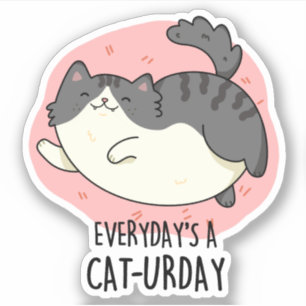 Everyday's A Cat-urday Funny Cat Pun 