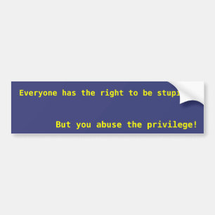Everyone has the right to be stupid bumper sticker