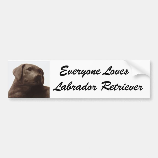 Everyone Loves a Labrador Retriever Bumper Sticker (Front)