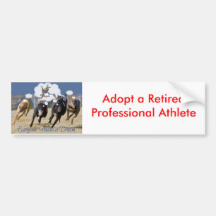 Everyone Needs a Dream Bumper Sticker