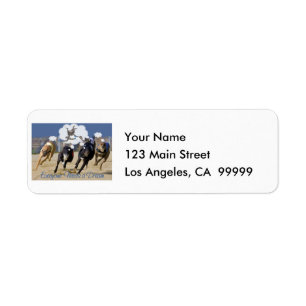 Everyone Needs a Dream Return Address Label