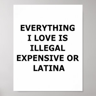 Everything I Love Is Illegal Expensive Or Latina ( Poster