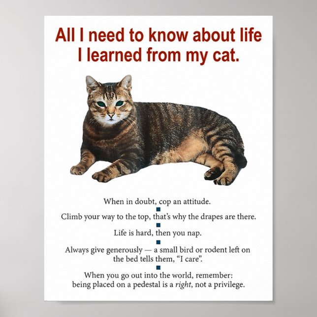 Everything I Need To Know About Life I Learned Fro Poster (Front)