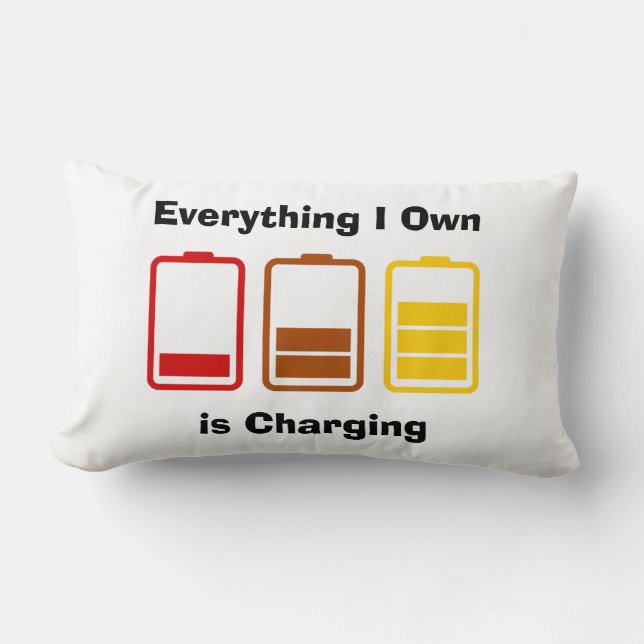 Everything I Own is Charging Lumbar Cushion (Front)