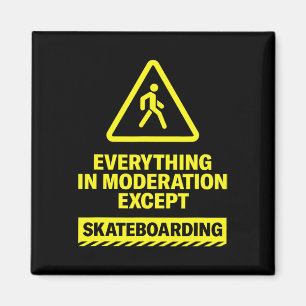 Everything In Moderation Except Skateboarding Spor Magnet