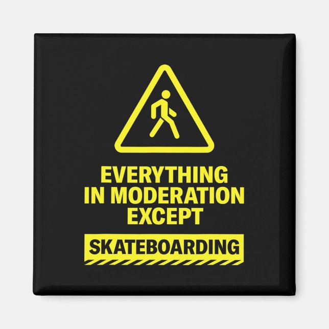 Everything In Moderation Except Skateboarding Spor Magnet (Front)