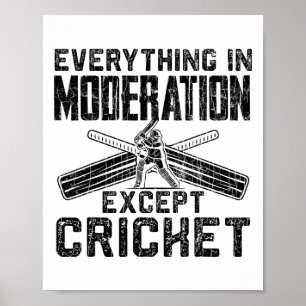 Everything In Moderation Funny Graphic For Cricket Poster