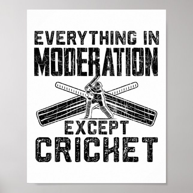 Everything In Moderation Funny Graphic For Cricket Poster (Front)