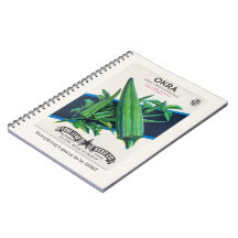 Everything Is Gonna Be Okray Notebook