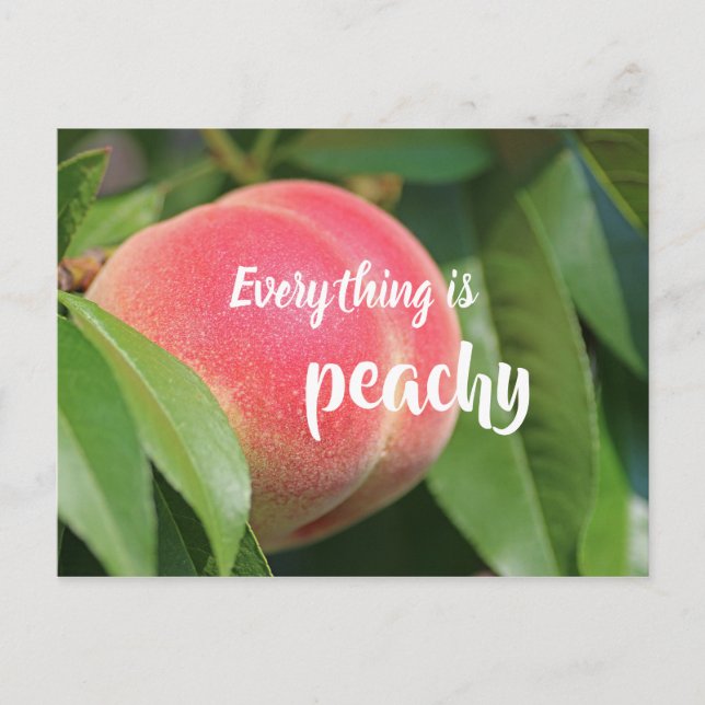 Everything Is Peachy // Peach Postcard (Front)