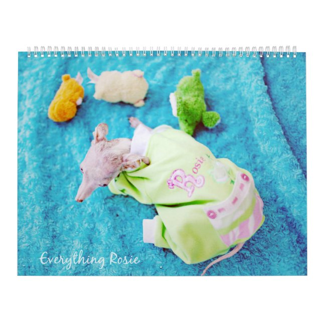 Everything Rosie Calendar (Cover)