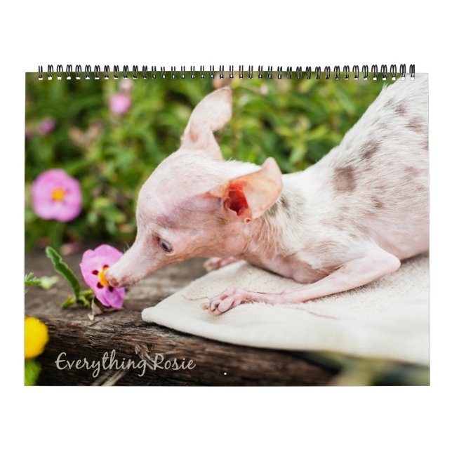 Everything Rosie Calendar (Cover)