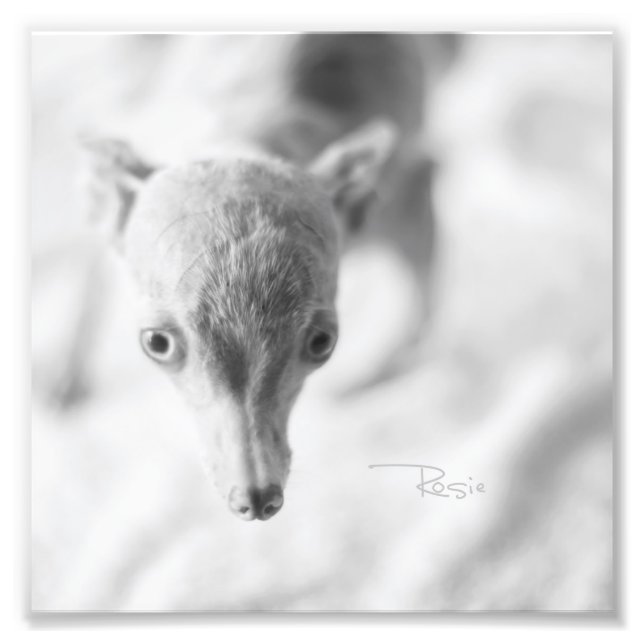 Everything Rosie Photo (Front)