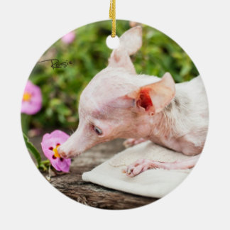 Everything Rosie Photo Ornament