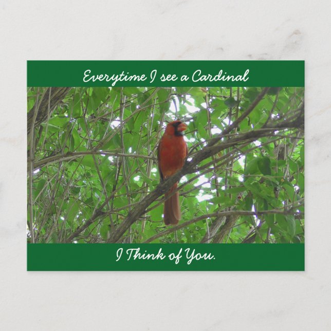 Everytime I see a Cardinal I think of You Postcard (Front)