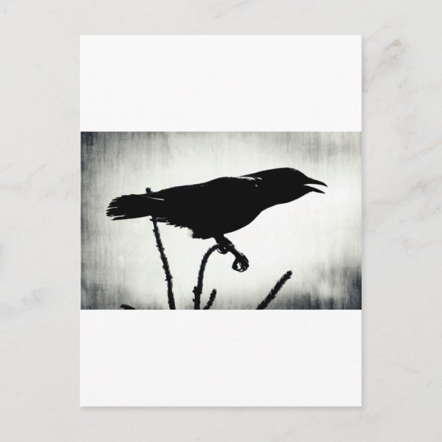 Everywhere Is Your Stage Postcard (Front)