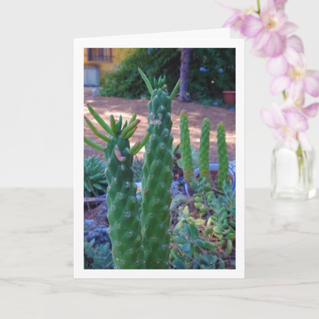 Eve's Pin Cactus Plants Card (Orchid)