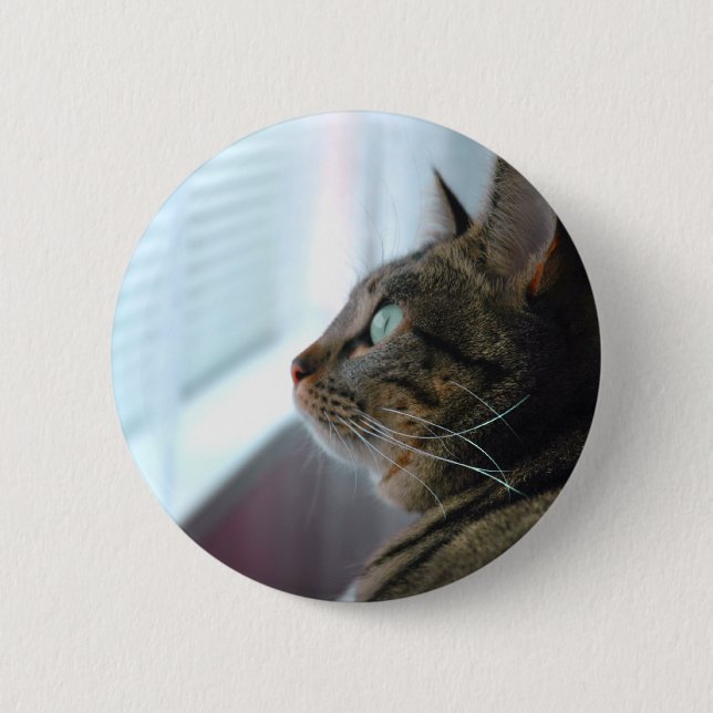 Evey the Kitty contemplates outside 6 Cm Round Badge (Front)