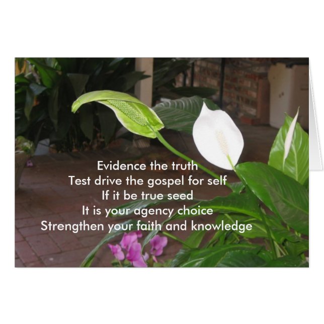 Evidence The Truth (Front Horizontal)