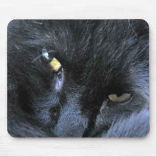 Evil Cat Mousepad