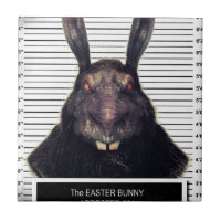 Evil Easter Bunny Rabbit SOLO