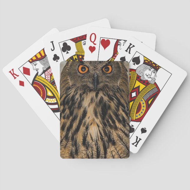 Evil looking owl playing cards (Back)