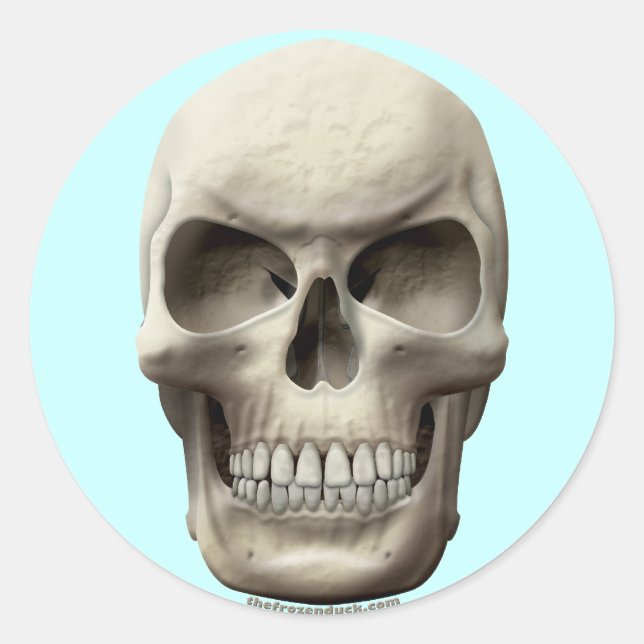Evil Skull Classic Round Sticker (Front)