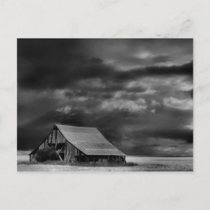 Evocative Beauty Post Card