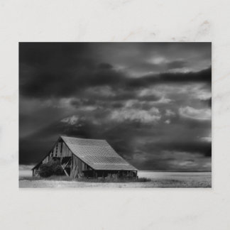 Evocative Beauty Post Card