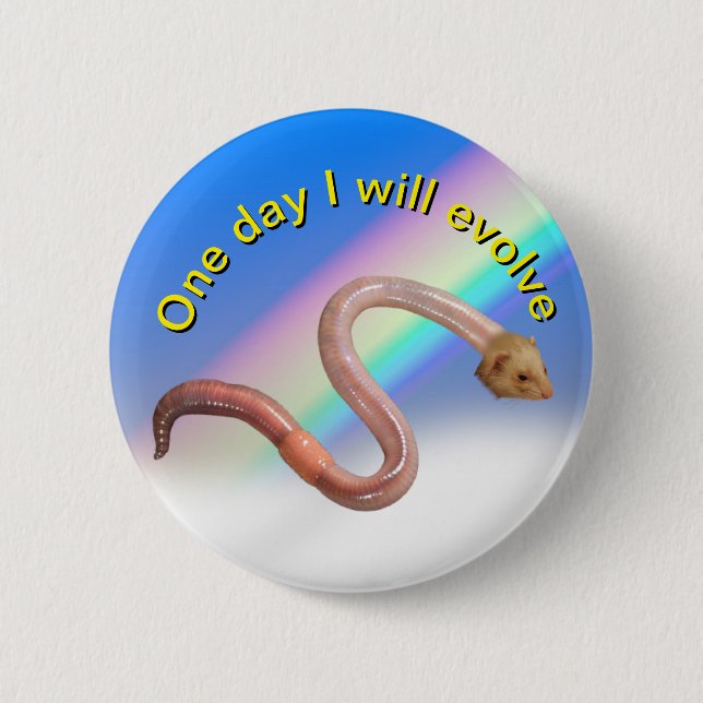 Evolution button (Front)